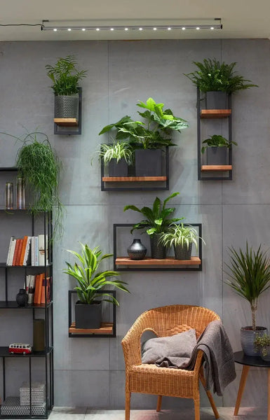 Plant LED – Wall Spot Light - Biohydro