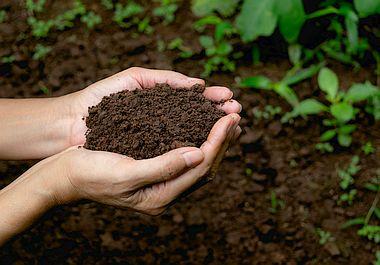 Potting Soil &amp; dry fertilizers