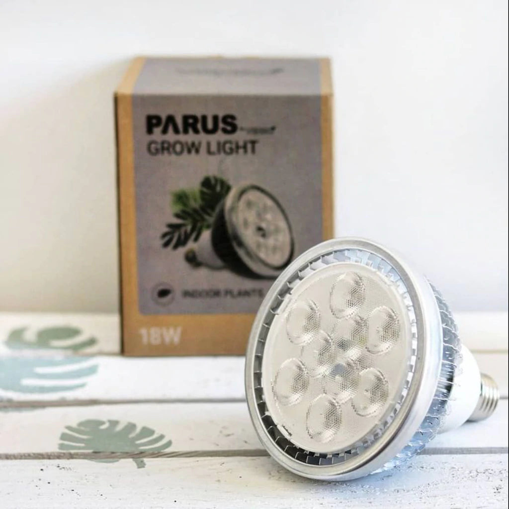 All about Light : Par VS Lumen