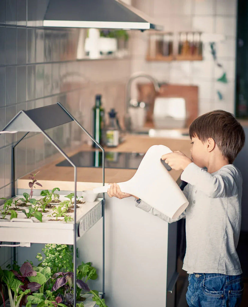 Kitchen Hydroponics in Kuwait