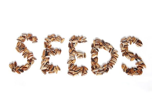 Seeds