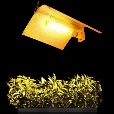 HID Grow and Bloom Lights - Biohydro