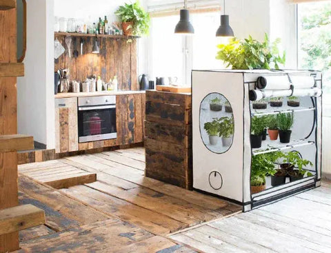 Grow Tents - Biohydro