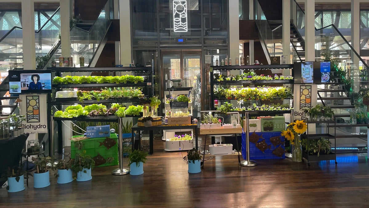 Large Sized Hydroponics systems – Biohydro