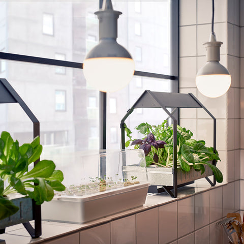 TableTop Hydroponic systems