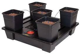 Mid Sized Hydroponic Systems
