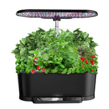 Tabletop Smart Hydroponic System