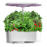 Tabletop Smart Hydroponic System