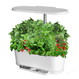 Tabletop Smart Hydroponic System