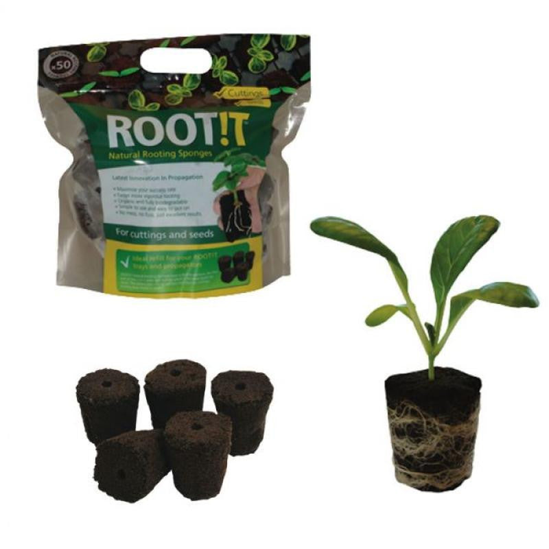 Rootit Natural Rooting Sponges 50pcs Bag